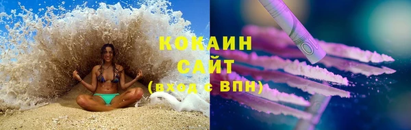 индика Армянск