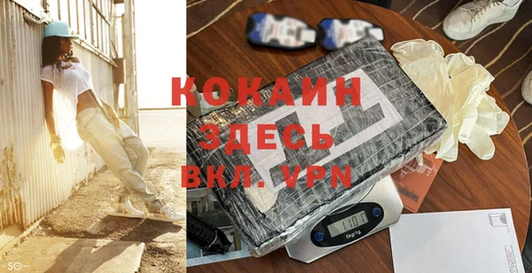 индика Армянск