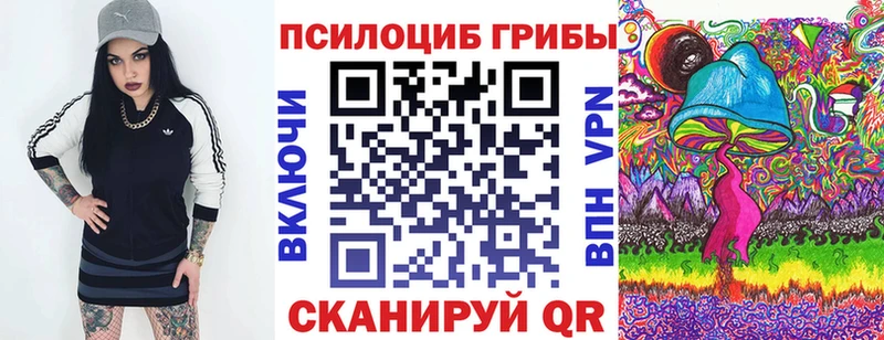 Псилоцибиновые грибы мухоморы  где продают наркотики  kraken tor  Бакал 