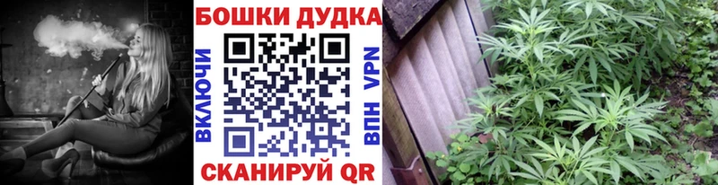 Шишки марихуана Amnesia  Бакал 